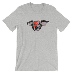 Ziggy Buddie (Short Sleeve)