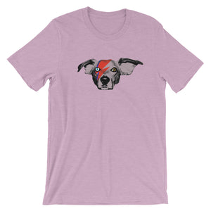 Ziggy Buddie (Short Sleeve)