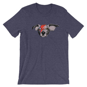 Ziggy Buddie (Short Sleeve)