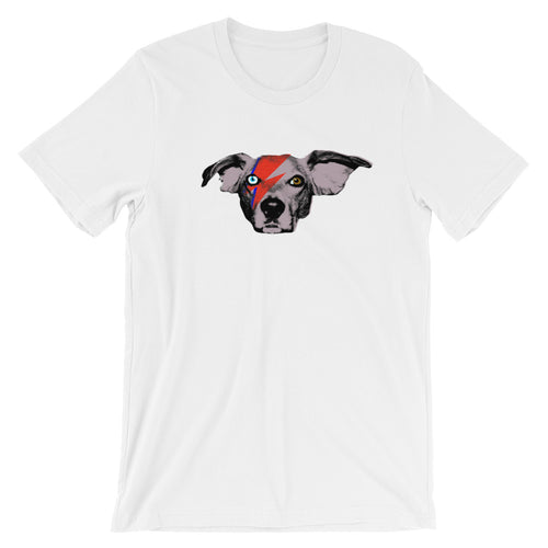 Ziggy Buddie (Short Sleeve)
