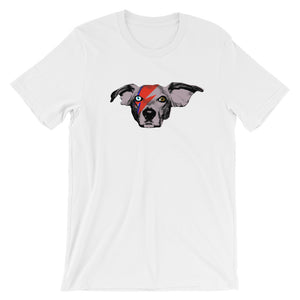 Ziggy Buddie (Short Sleeve)