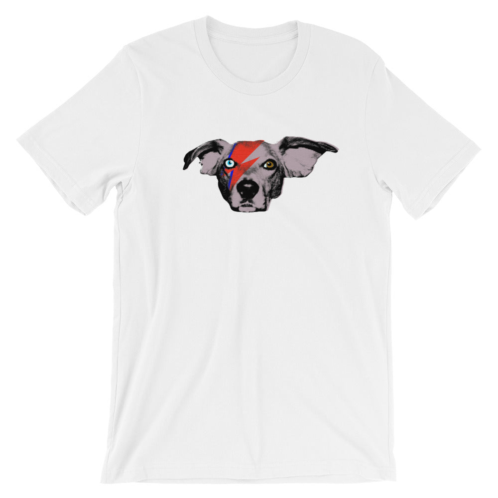 Ziggy Buddie (Short Sleeve)