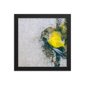 Yellow (Framed Print)