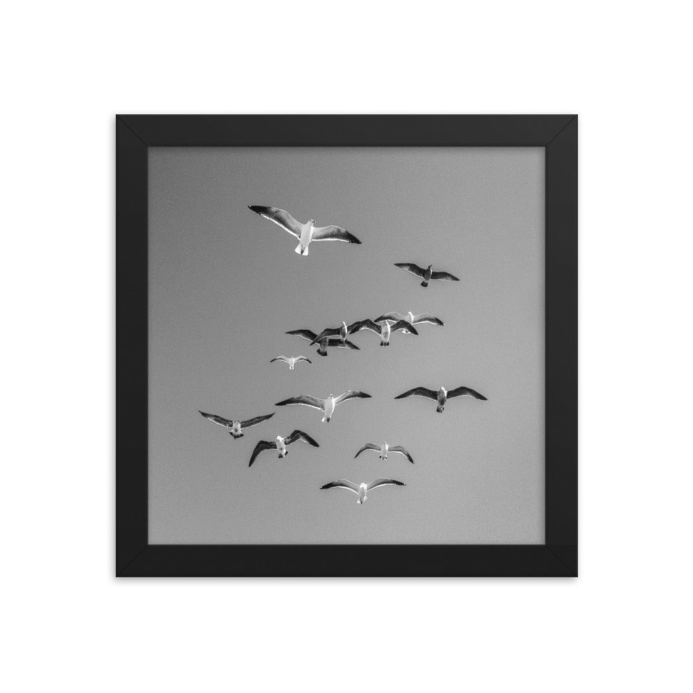 Birds (Framed Print)
