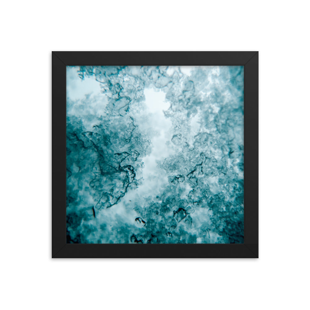 Trapped (Framed Print)