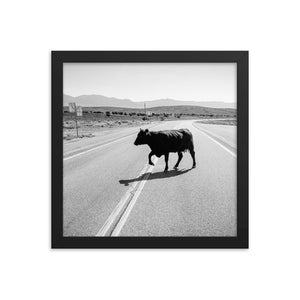 Drunk Cow (Framed Print)
