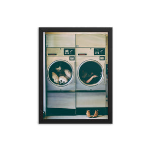 Spin Cycle (Framed Print)