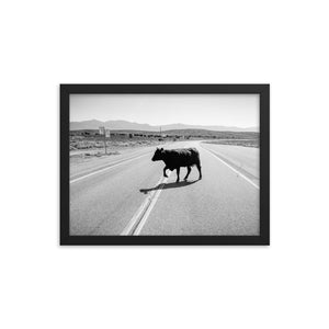Drunk Cow (Framed Print)