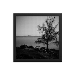 Lonely Bench (Framed Print)
