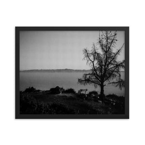 Lonely Bench (Framed Print)