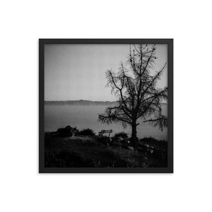 Lonely Bench (Framed Print)