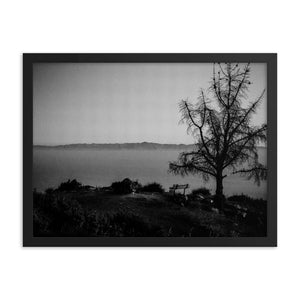 Lonely Bench (Framed Print)