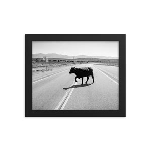 Drunk Cow (Framed Print)