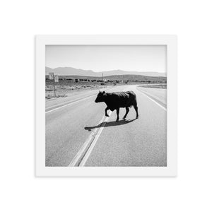 Drunk Cow (Framed Print)