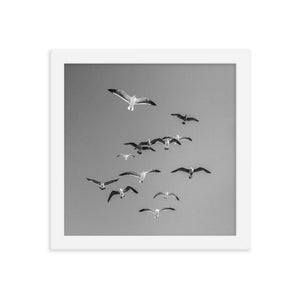 Birds (Framed Print)