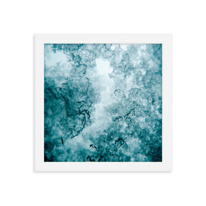 Trapped (Framed Print)
