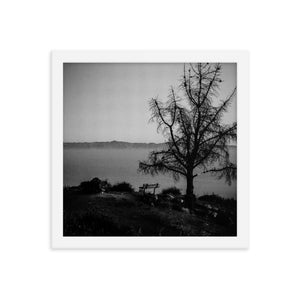 Lonely Bench (Framed Print)