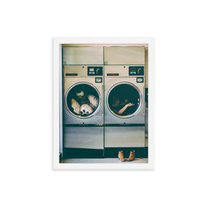 Spin Cycle (Framed Print)
