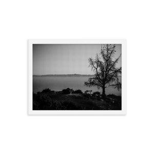 Lonely Bench (Framed Print)