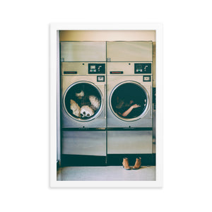 Spin Cycle (Framed Print)