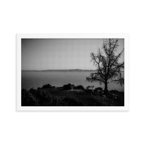 Lonely Bench (Framed Print)
