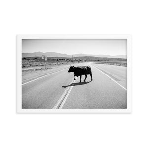 Drunk Cow (Framed Print)