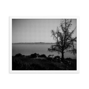 Lonely Bench (Framed Print)