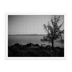 Lonely Bench (Framed Print)