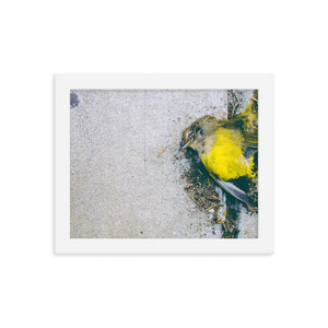 Yellow (Framed Print)