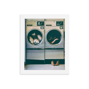 Spin Cycle (Framed Print)