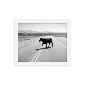 Drunk Cow (Framed Print)